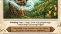 FB_IMG_1790395348969